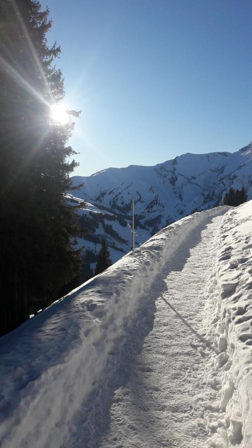 Chalet Allmegrat Adelboden Bagian luar foto