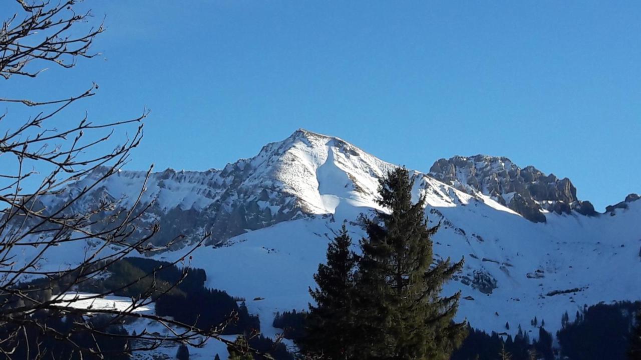 Chalet Allmegrat Adelboden Bagian luar foto