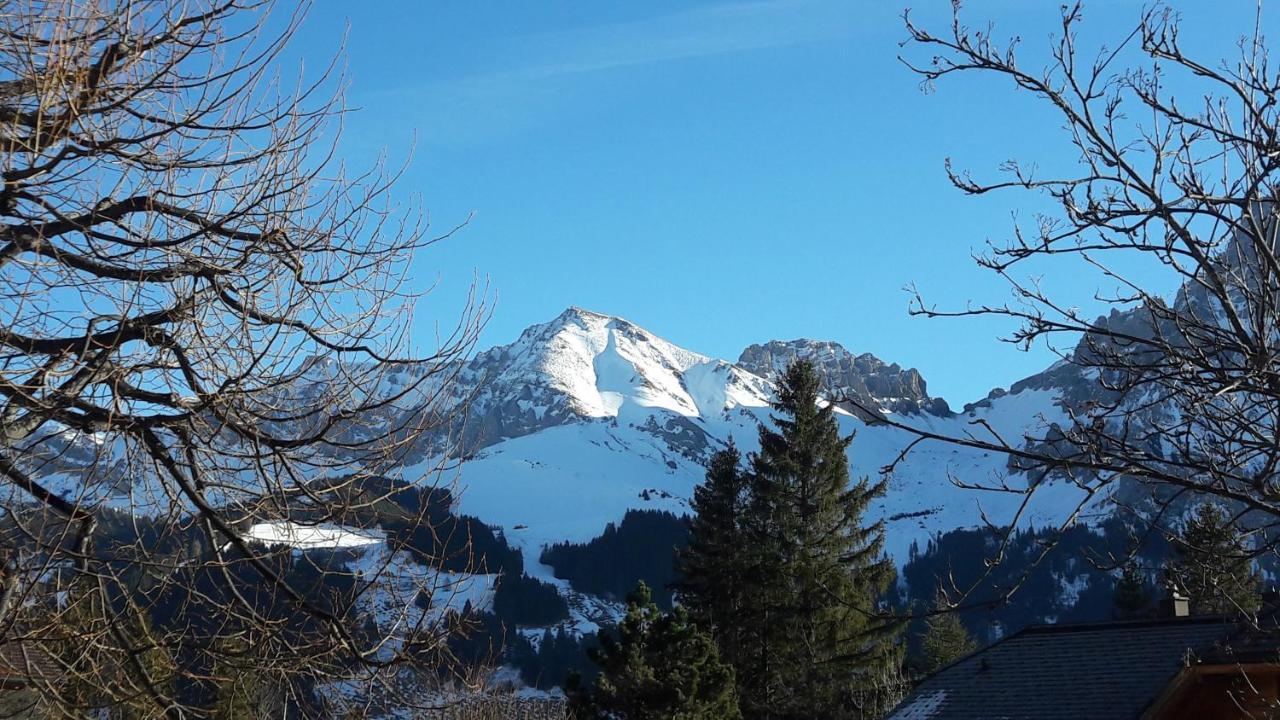 Chalet Allmegrat Adelboden Bagian luar foto