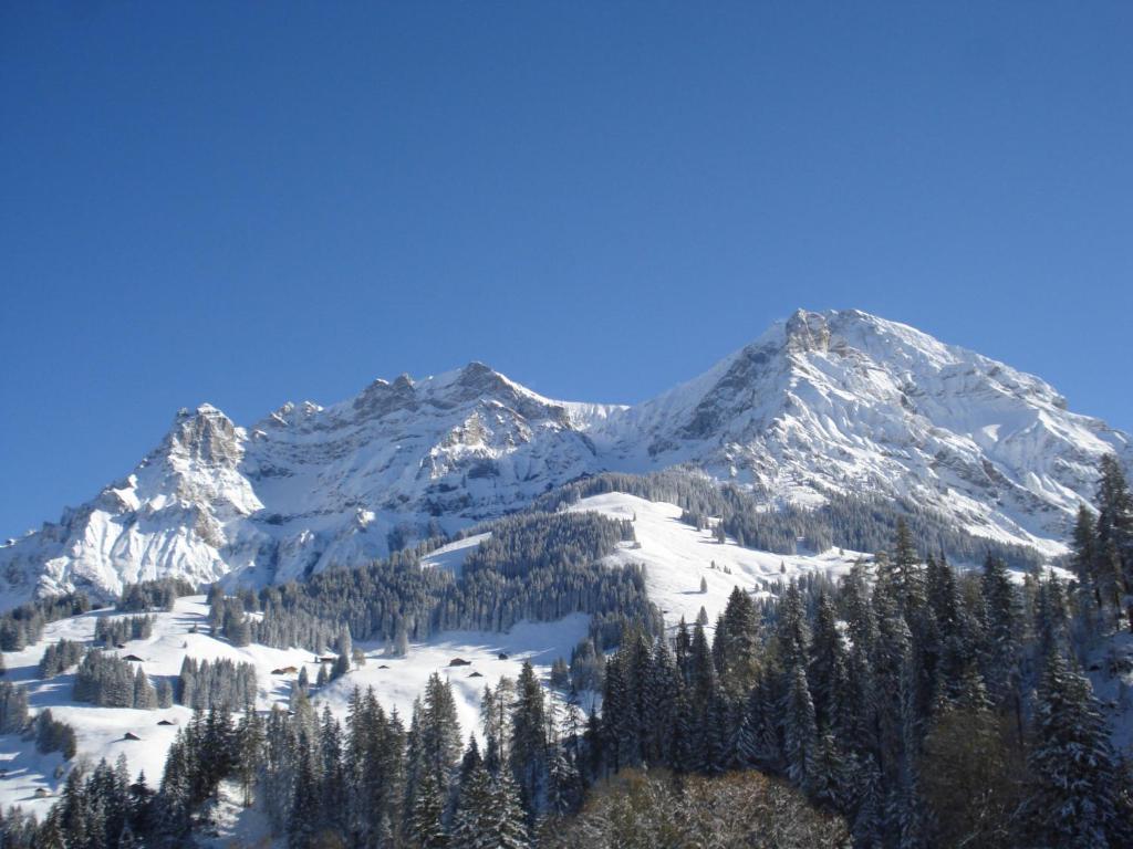 Chalet Allmegrat Adelboden Bagian luar foto
