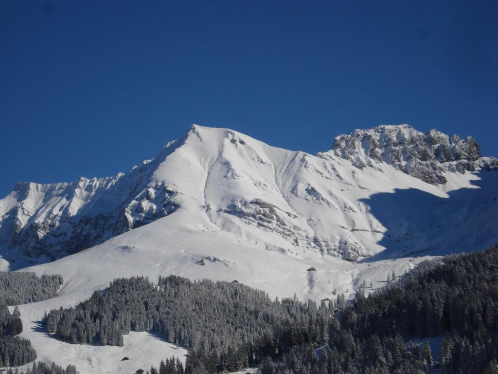 Chalet Allmegrat Adelboden Bagian luar foto